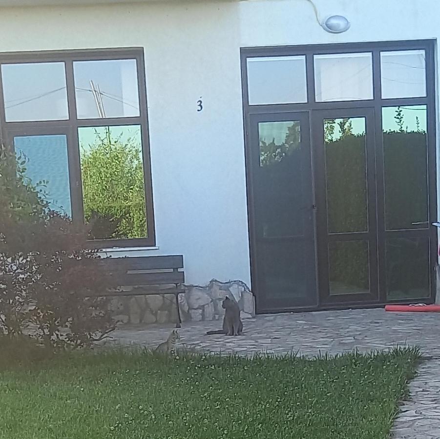 Villa Ketli Apartment Bliznatsi 외부 사진